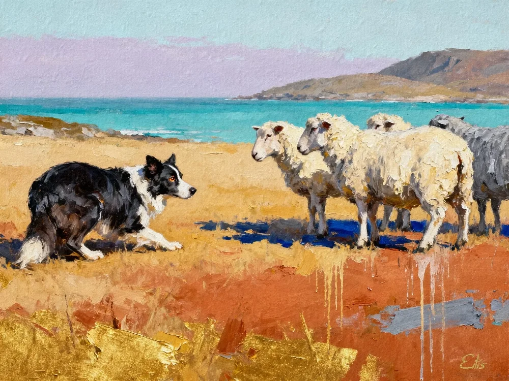 bcsheep bcsheep