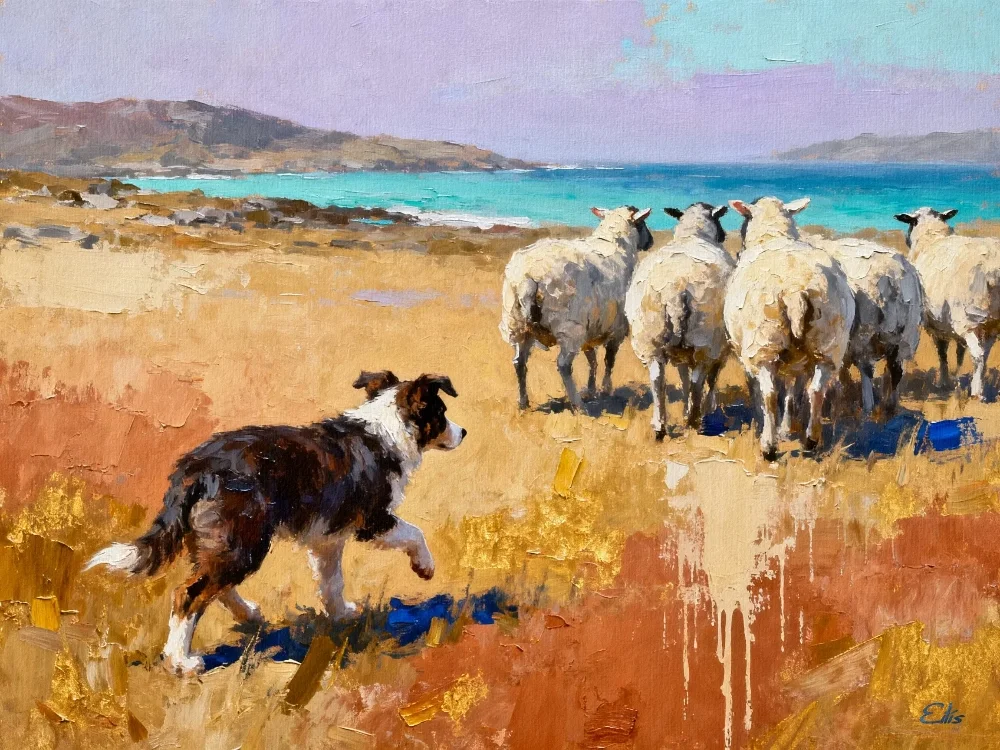bcsheepherd bcsheepherd