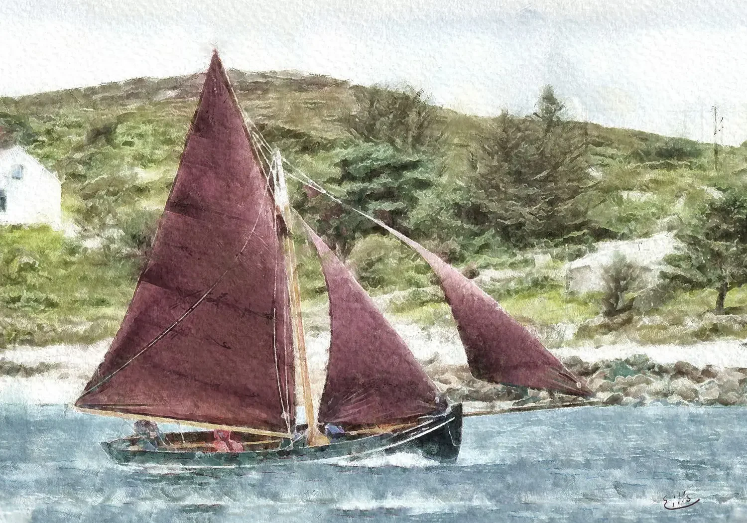 ceolnamara